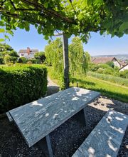 hollenstein blumengarten ag-Blumenshop-Gärtnerei-Gartenbau-Unterhalt-Grabpflege Bild 7