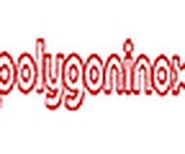 Polygoninox image 3