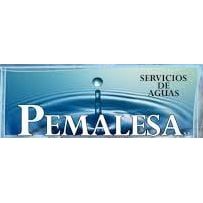 LOGO-PEMALESA.JPG