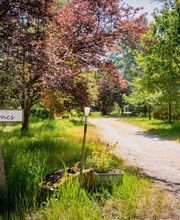 Le Domaine de La Barre Saint-Michel image 17