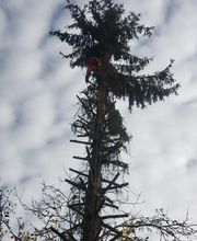 M.B.Elagage image 19