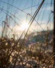 Harry Fichtner Fotostudio Bild 7