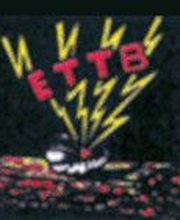 E.T.T.B Entreprise Traitement Technique des Bois image 2