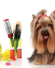 Au Bonheur Canin image 7