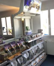 Duvivier Sophie image 4