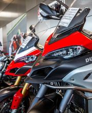 Triumph Bordeaux image 10