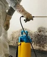 NGAN ALPES DE HAUTE PROVENCE - Entreprise Anti-Nuisibles image 7