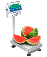 Mancel Pesage image 6