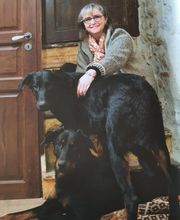 Château Les Hauts D'Aglan image 9