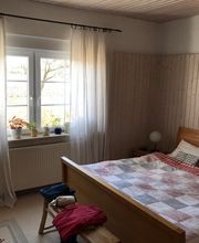 Hundeparadies Brandenburg Bild 5