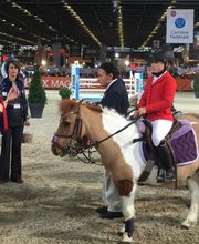 Les Ecuries De Logerie image 1