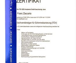 Schimmel Experten - Sirnach Bild 12