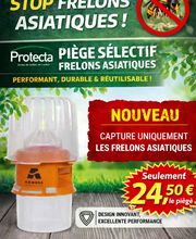 Net 23 image 12