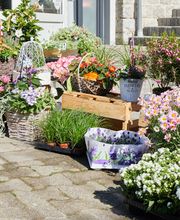 Gartenbau Drewes Bild 3