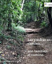 Psicologa y Coach Ana Olives. Santa Cruz de Tenerife. imagen 5