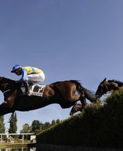 Hippodrome de Vichy-Bellerive image 2