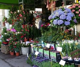 Ophélie Fleurs image 5