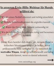 natural.dogs. Bild 6