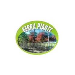 Berra Piante logo
