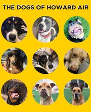 Howard Air Service Center image 11