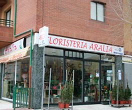floristeria-aralia-fachada-01.jpg