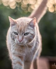 Anja Sehrt Fotografie Bild 5