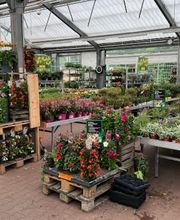 HORNBACH Gartencenter Magdeburg Bild 4