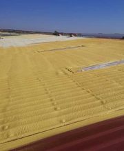 Proyectados MiRic Toledo imagen 2