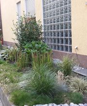 Hotel Goldbächel Bild 6