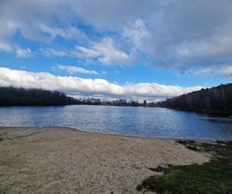 Ferienhaus Mainz am Silbersee Bild 6