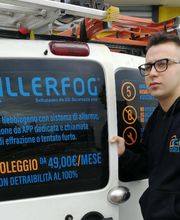 Gallery Cliente