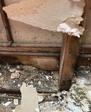 Water Damage Cleanup Team image 12