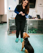 Twin Oaks Veterinary Clinic image 5