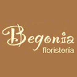 Floristeria-Begonia.jpg