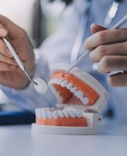 Zahnarzt Dr. Werner Marquard Bild 1