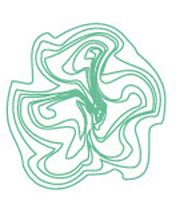 KINEVOCE Praxis für Kinesiologie und Stimme Bild 1