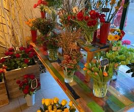 Blumen Müller Bild 5
