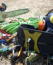 Arbre Ambulant image 4