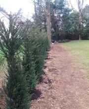 Doualle Frédéric Pour la Beauté de Vos Jardins image 3