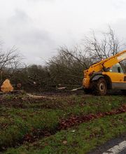 Sos Elagage & Energie Verte image 11