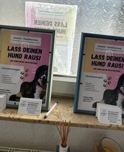 Hundetal Bild 8