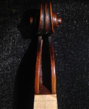 Eschenbrenner Denis image 6