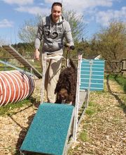 Hundeschule Guggisberg Bild 14