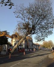 Desjardins Pascal-Paysagiste image 7