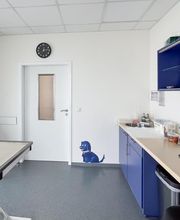 Medivet Tierarztpraxis Bild 6