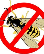 Duhamel Séverine image 1