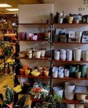 Flora-Eck Kliewe Bild 2