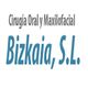 logobizkaia.jpg