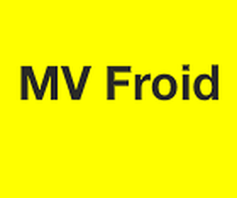 MV Froid image 1
