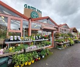 GAMM VERT image 3